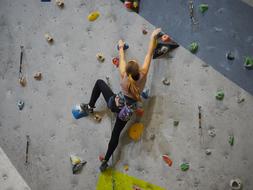 Sport Rock Climbing Wall