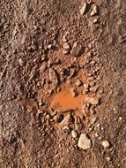 Nature Pattern Rough