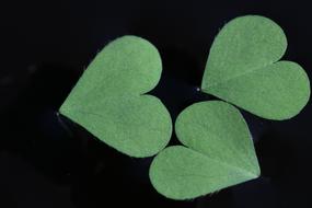 Clover Green Nature