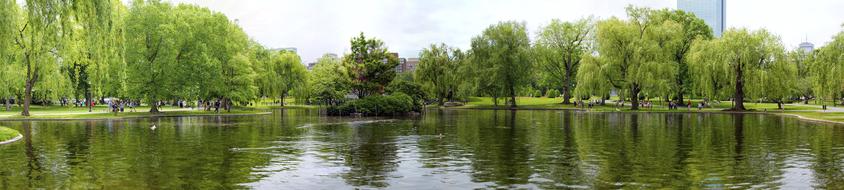 Boston Commons Park