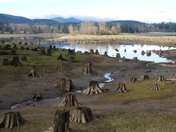 Water Outdoors Nature