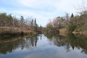 Waters Natural Reflection