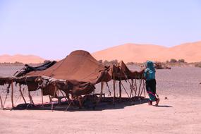 a man in the desert near the house