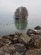 Body Of Water Coast Sea