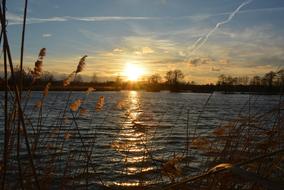 Water Nature Pond