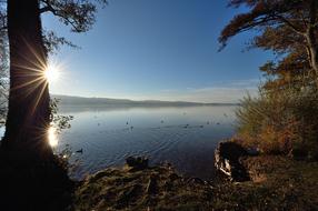 Sempachersee Sunset Nature