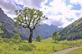 Nature Mountain Landscape