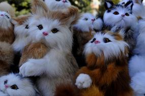 Mammals Charming Animals
