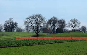 Early Spring Panoramic Field