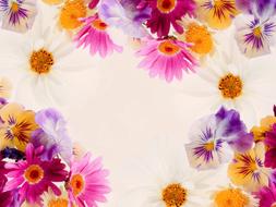 Flower Floral Flora
