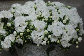 Flower Nature Floral Bouquet De