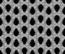 pattern beetle insect black grey