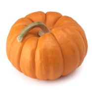 pumpkin fresh delicious on a white background