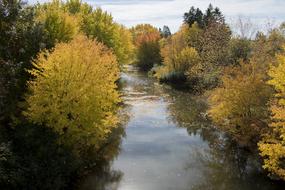 Tree Nature Landscape