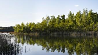 Nature Monolithic Part Of The