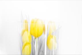 Bright Easter Nature