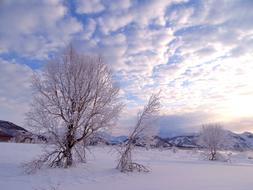 Sunrise Dawn Morning