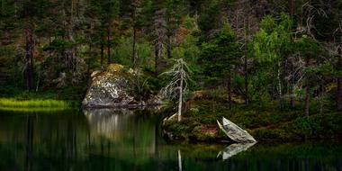 Nature Water Outdoors