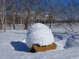 Winter Morning Forest Cottage