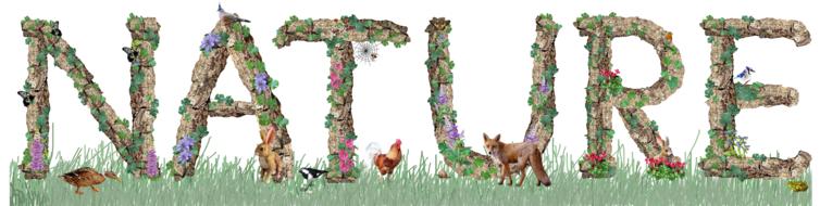 Nature Title Text