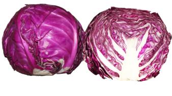 Healthy cauliflower on a white background
