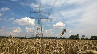 Transmission network, on the beautiful, yellow field, near the green trees in Munich, Germany