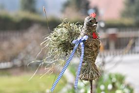 Nature Grass Bird