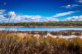 River Delta Water Nature