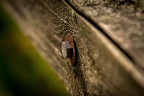 Nature Close Up Wood