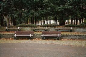 Tree Nature Empty Transport