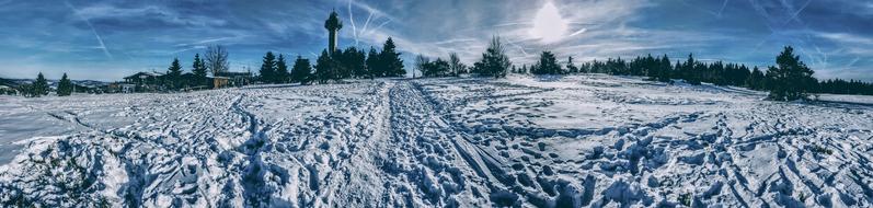 panorama of a snowy forest in the sun