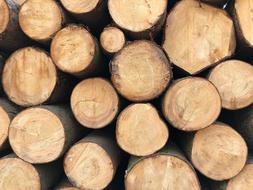 wooden billets