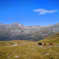 Mountain Landscape Nature