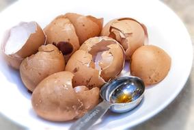 broken egg shell
