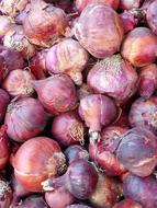 Crop of colored onions
