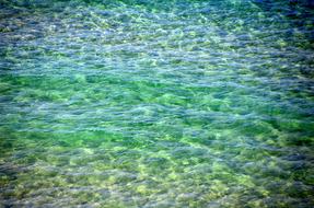 Desktop Nature Summer