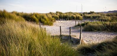Waters Nature Panorama