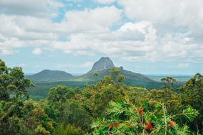 Australia Sunshine Coast Landscape