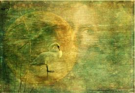 antique woman face and swan art