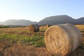 Ssas Straw The Stack Of