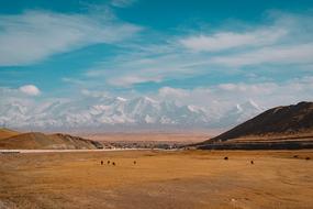 Desert Mountain Wonder