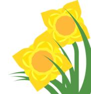 clipart daffodil narcissus spring