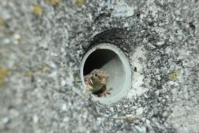 Nature Stone Close Up
