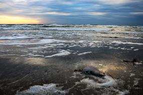 Water Sea Landscape