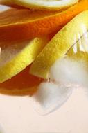 citrus close up