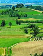Monferrato Cuccaro Piemonte
