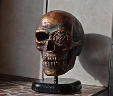 Sculpture Art skull