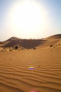 Abu Dhabi Emirates Desert