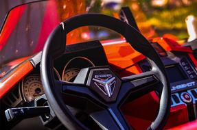 designer steering wheel