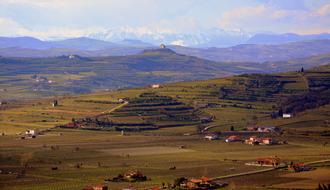 Hill Vineyard Landscape